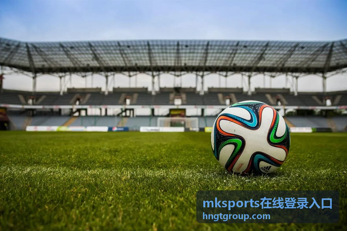 mksports在线登录入口移动端登录支持说明配图