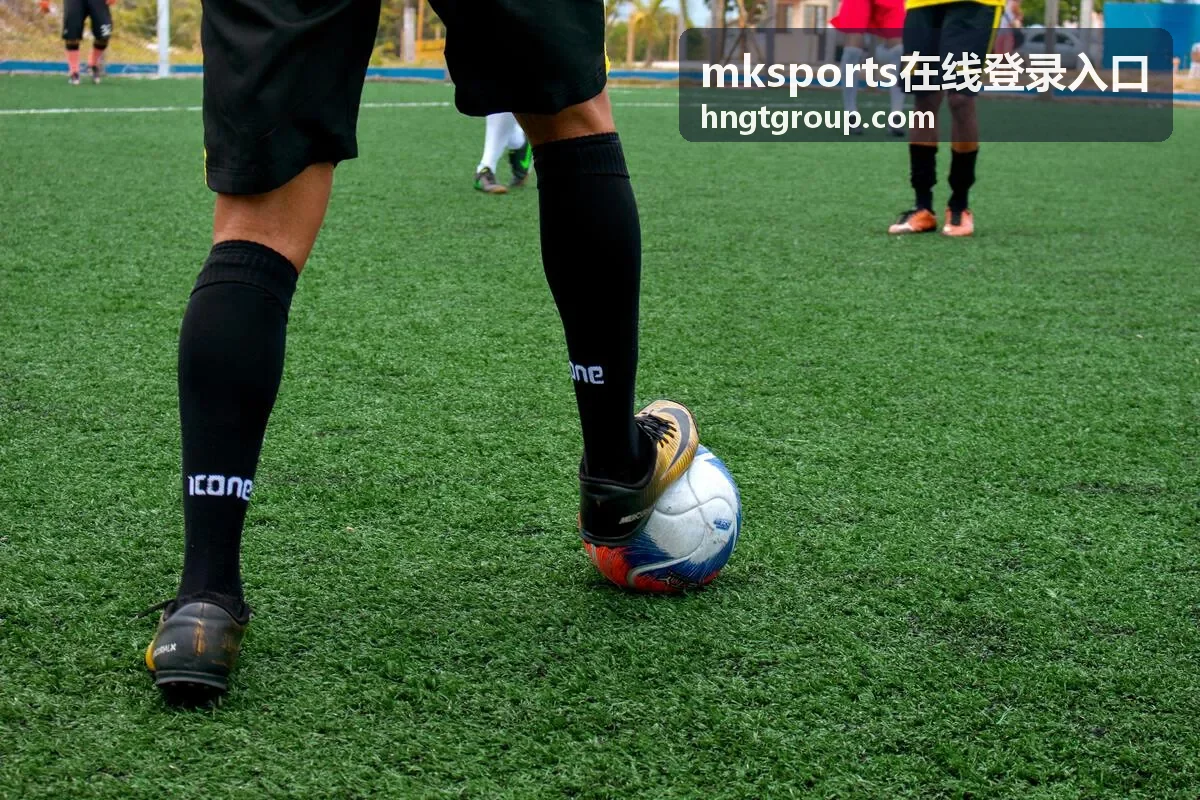 mksports在线登录入口网络受限时排查配图
